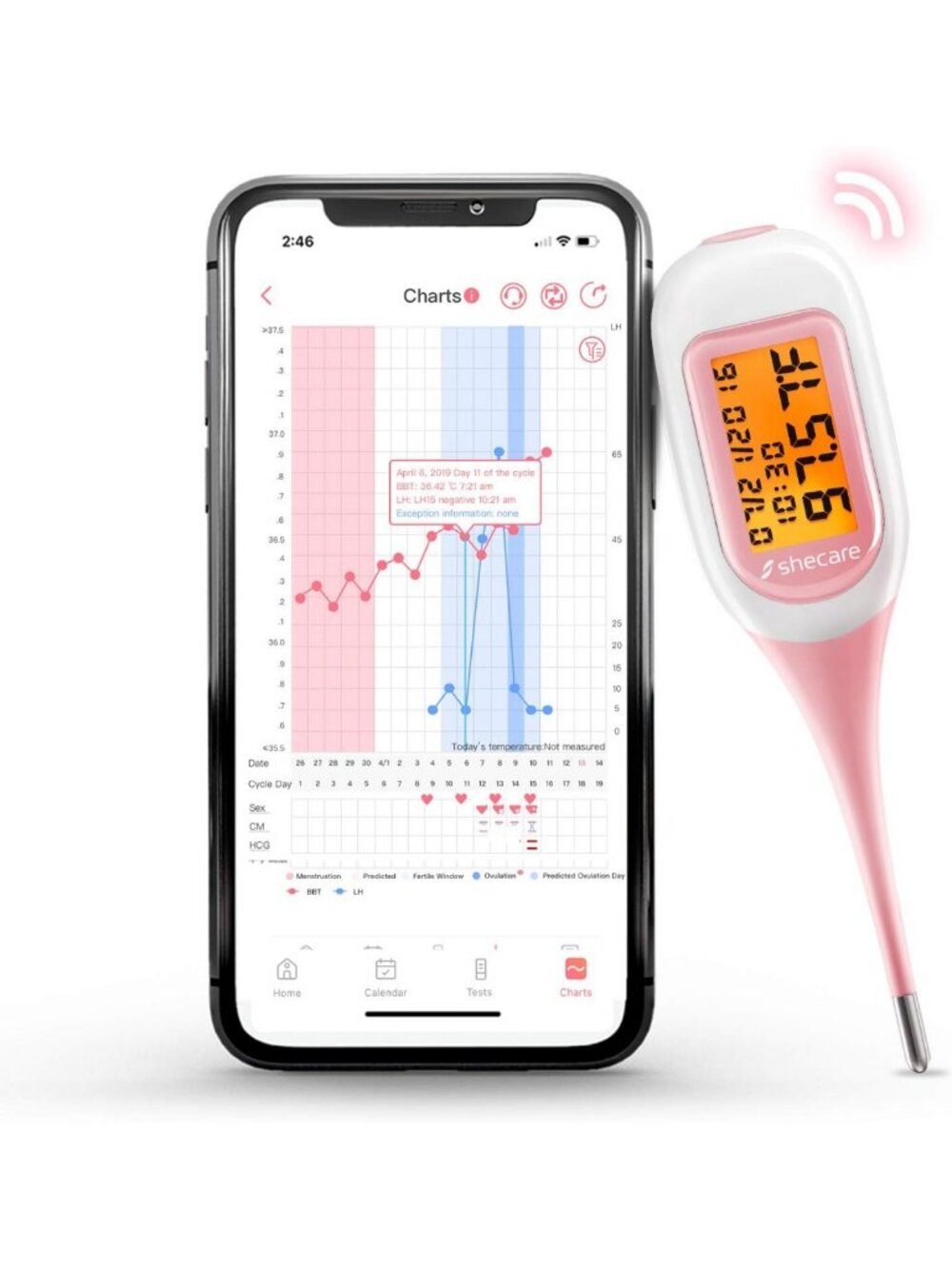 Digital Basal Thermometer for Ovulation & Fertility Tracking | BBT with App